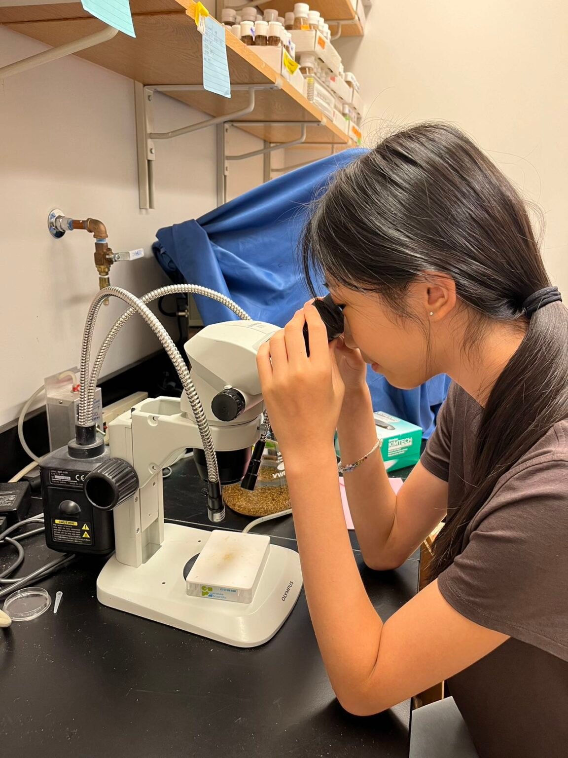 lab (1)